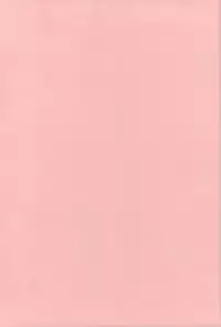 [Shinobu Tanei] Nedari Midara