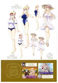 Walkure Romanze More & More Visual Fan Book