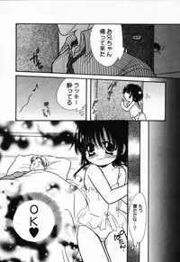 [Anthology] Pure Petit Vol.24