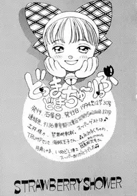 (C47) [Strawberry Shower (various)] Dokkidokichurippu