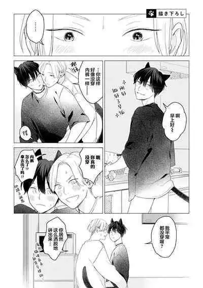 恋爱中的猫咪想被抚摸