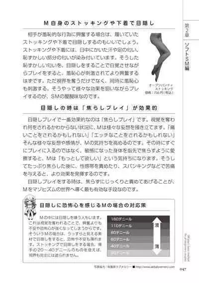 いますぐデキる 図説SMプレイマニュアル