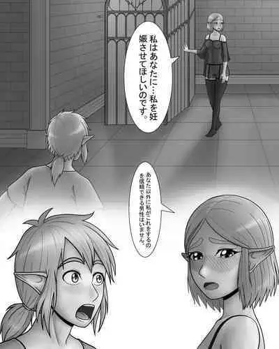 Zeruda no Densetsu: Purinsesu to Sugosu Yoru