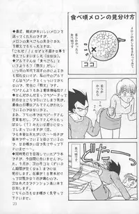 [Ryuujin-kai (HITO Ribuki)] Dangerous Beauty (DRAGON BALL Z)