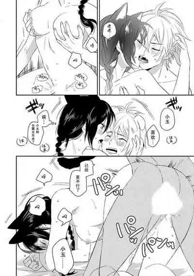 Wan nyan MIDNIGHT | 午夜汪喵