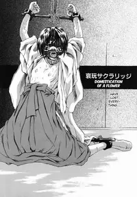 Aigan Sakurige | Domestication of a Flower