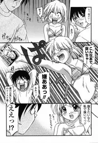 [Anthology] Pure Petit Vol.24