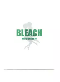 (C65) [Nikopondo (Aoyama Reo)] Otherside (Bleach)