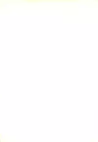 [Tenpuu Mitsunari] Dangan Tenshi Buletiel Kourin-hen