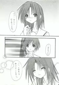 [FINAL EVOLUTION S-RS (ZAN, Chosuke)] VISUAL DESIRE 2 (With You)