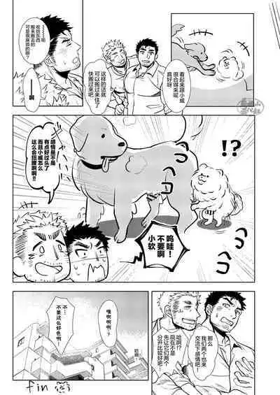 Puppy Love |忠犬情缘