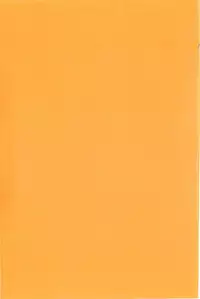 [ED] Cheerism [English]