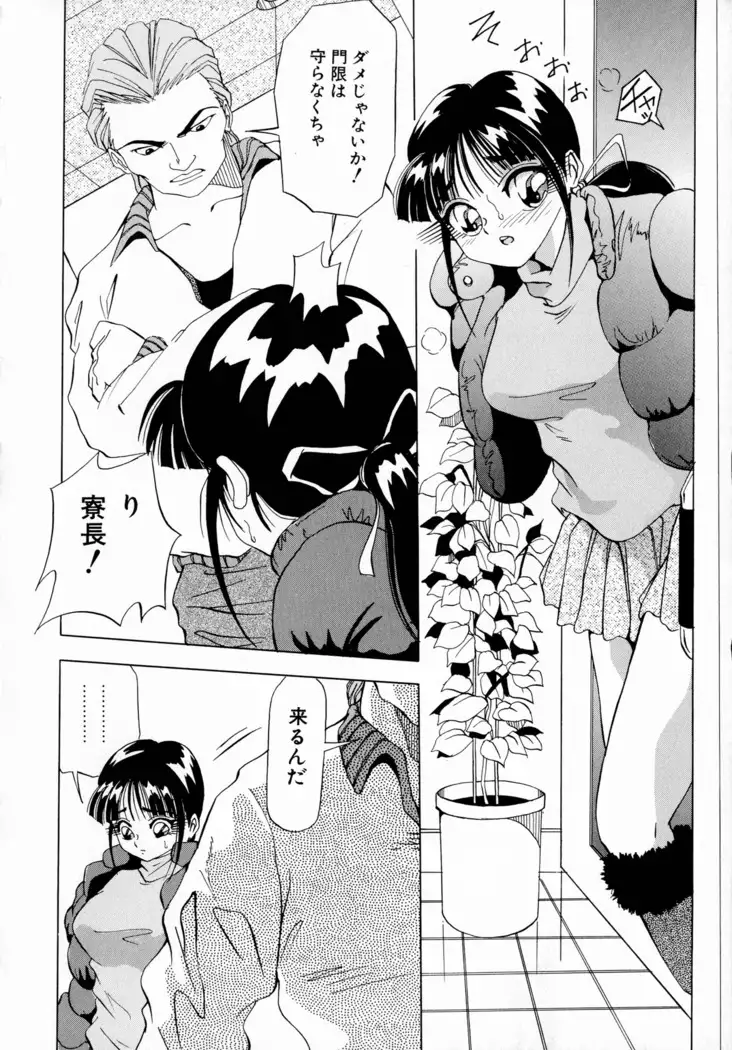 Machikado Pheromone Remix