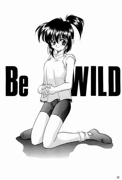 (C51) [RAINBOW FORCE (Minakami Hiroki)] Be WILD (Bakusou Kyoudai Let's & Go!!)