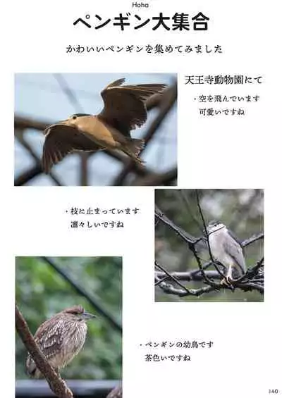 may Kemono Friends Thre Goudoushi