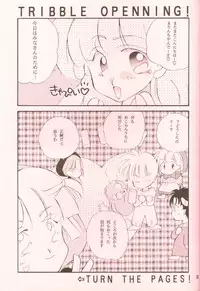 (C46) [Brilliant Rose (M. Sonoda)] Ecchi de Shuu (Akazukin Cha Cha)