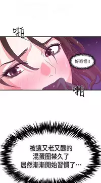 母豬養成計畫【中文】