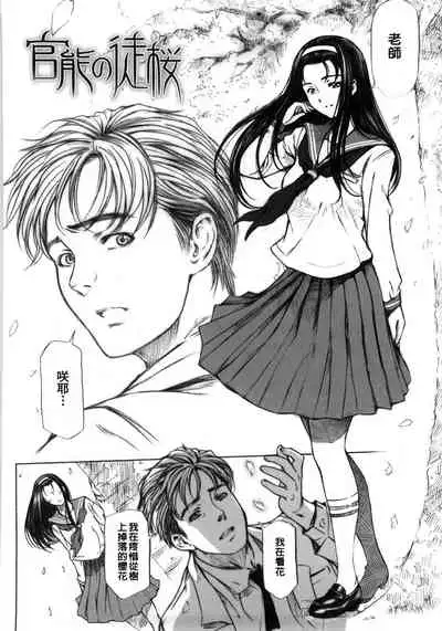 Kannou no Houteishiki