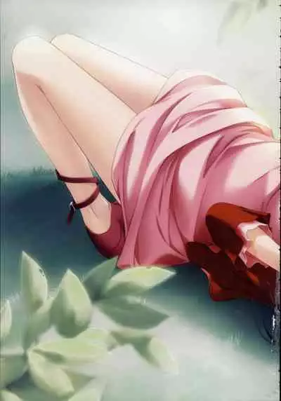 Shin Ringetsu Visual Fanbook