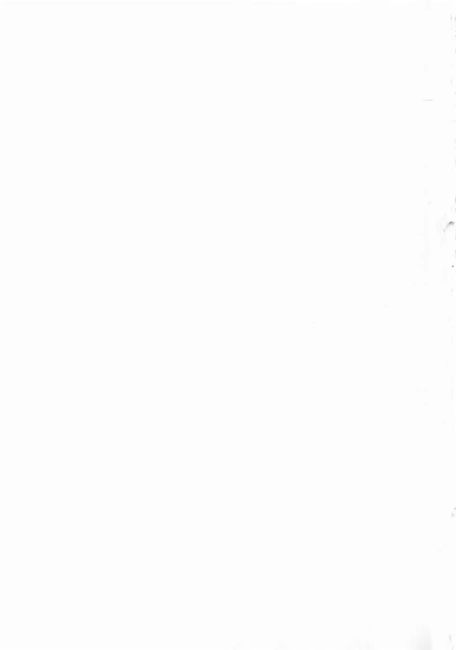 もみゅちち♥ 揉捏美型乳♥