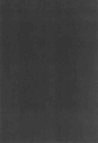 Shoujo Ryoujoku-roku horonaminZ Sousaku Doujinshi Soushuuhen