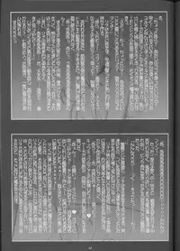 (C55) [Barricade (Nishizaki Byouya)] Aara-ISM (Slayers)