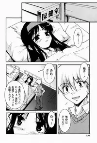 [Nippori] Daisy Blue