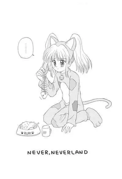 NEVER, NEVERLAND