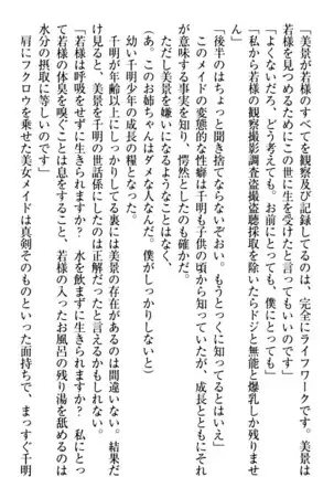 年上メイドの新婚日記