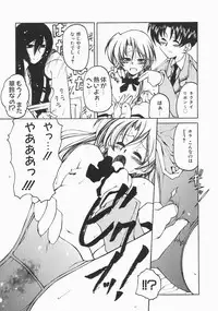 [Benjamin] Stray Sheep