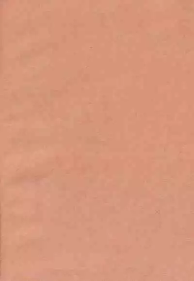 Yorisou Karada | 互相依偎她身体