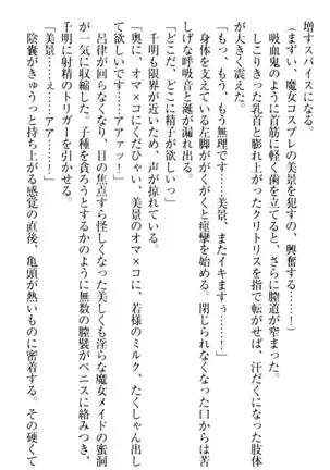 年上メイドの新婚日記