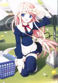 Sakura Sakura Visual Fan Book