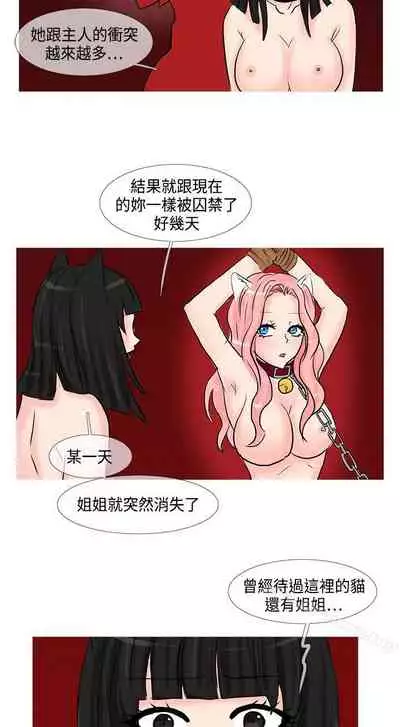 小野貓馴服手冊