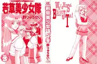[Gun Ryuusei] Wakakusa Bishoujotai vol.3