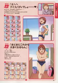 Super Real Mahjong Visual Fan Book Perfect Collection