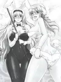 (C85) [Shouchuu MAC (Hozumi Kenji)] Poodle & Bunny Time (IS <Infinite Stratos>)