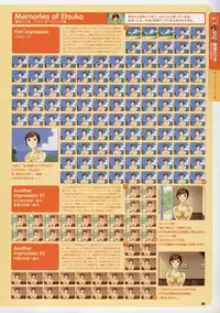 Super Real Mahjong Visual Fan Book Perfect Collection