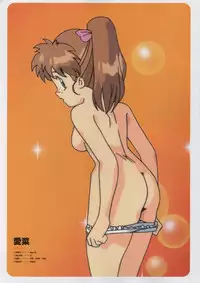 Super Real Mahjong Visual Fan Book Perfect Collection