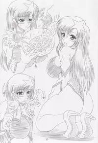 (C69) [INSERT (KEN)] Chichi-hime (Gundam SEED DESTINY)