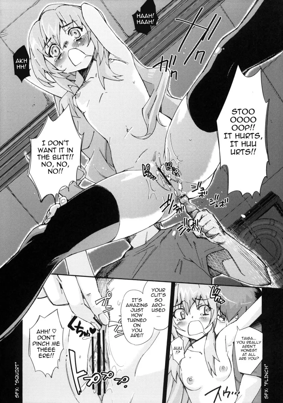 Taiga no Jouzu na Shitsukekata