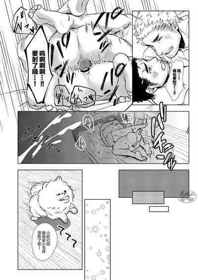 Puppy Love |忠犬情缘