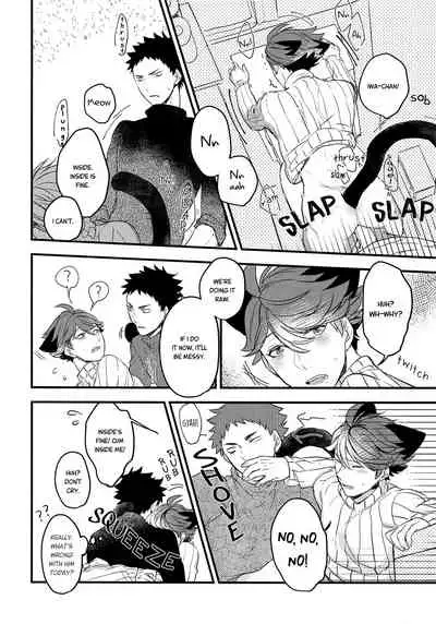 Iwa-chan no Neko ni Naritai 2