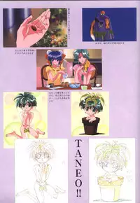 [Artbook] Viper F40 -Official Art Gallery-