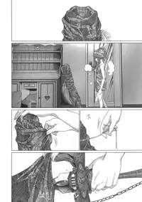 [Miyazaki Maya] Holy Knight 1