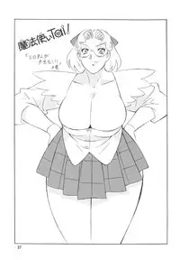 (CR33) [Rippadou (H-H)] H-H Soushuuhen 2 (Various)