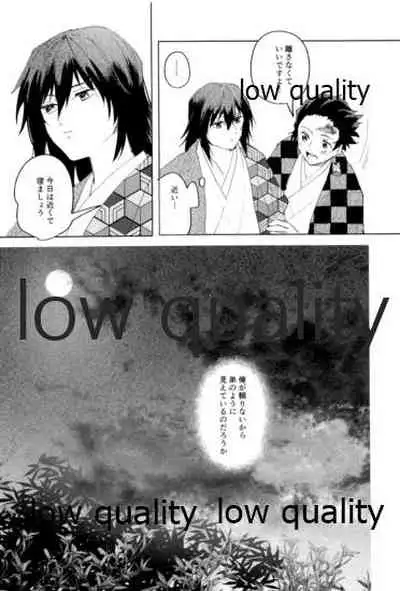 [正気の沙汰でない (靴下はこ)] 義勇さんはかわいいので大丈夫です (鬼滅の刃)