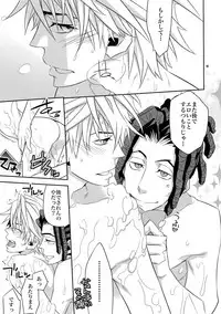 (C81) [Crazy9 (Ichitaka)] Ofuro de! Wanko TomShizu no Hon (Durarara!!)