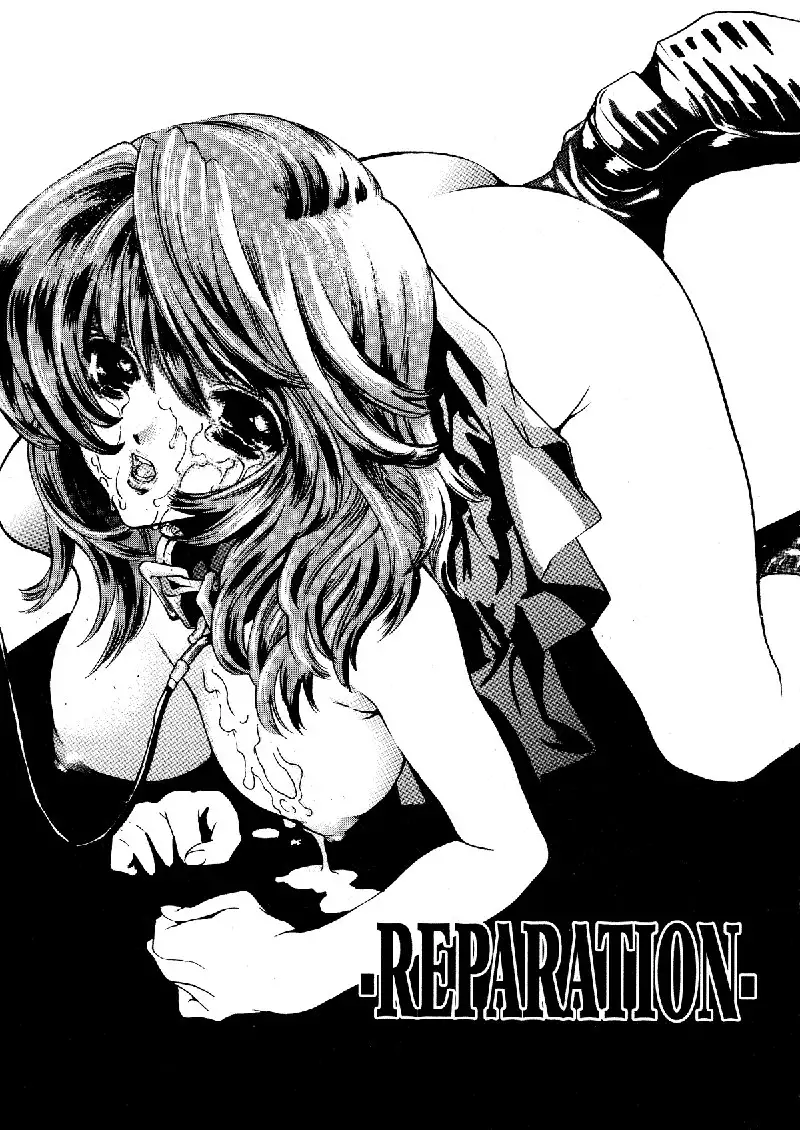 Extract 3 - Reparation