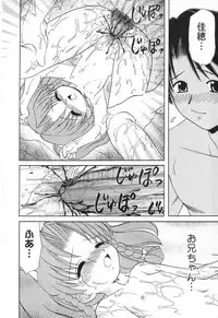 [Anthology] Pure Petit Vol. 12